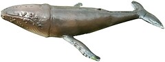 Фото Lanka Novelties Горбатый кит (21580)