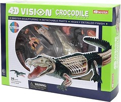 Фото 4D Master Крокодил Анатомія тварин (FM-622034)