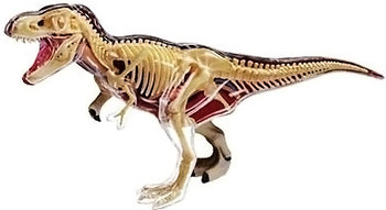 Фото 4D Master Тираннозавр Анатомия животных (26092)