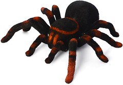 Фото Bambi (Metr+) Tarantula (781)