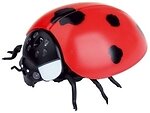Фото Best Fun Toys Ladybug (6337205)