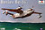 Фото Amodel Be-14 Beriev (AMO1441)