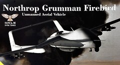 Фото Sova Model Northrop Grumman Firebird (SVM72003)