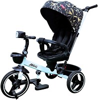 Фото Best Trike 9155 (319-22)
