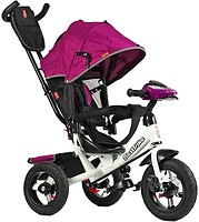 Фото Best Trike 3390 (37-633)