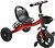 Фото Best Trike BS-12190