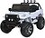 Фото Babmi M 6069EBLR-1