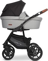 Фото Riko 2 в 1 Basic Grey Fox (02)