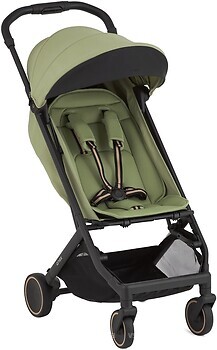 Фото Anex прогулянкова Air-X2 Vert (Ax2-03)