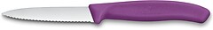 Фото Victorinox Swiss Classic Paring (6.7635.C1)