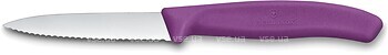 Фото Victorinox Swiss Classic Paring (6.7635.C1)