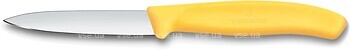 Фото Victorinox Swiss Classic Paring (6.7708.C1)