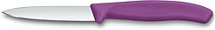 Фото Victorinox Swiss Classic Paring (6.7705.C1)