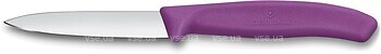 Фото Victorinox Swiss Classic Paring (6.7705.C1)