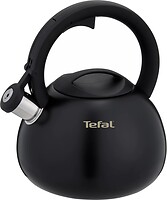 Фото Tefal N4180410