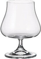 Фото Bohemia Iduna (1SK03/575)