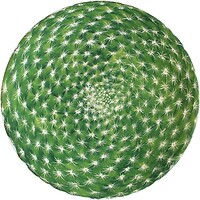 Фото Taitu Cactus тарілка для салату (5-5-1)