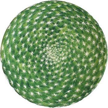 Фото Taitu Cactus тарелка для салата (5-5-1)