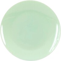 Фото Luminarc тарілка обідня 25 см Zelie Paradise Green (V5851)