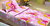 Фото Lotus Rapunzel детский односпальный