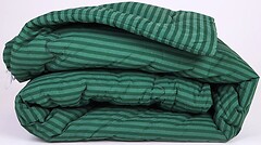 Фото MirSon антиалергенна 123 Color Fun Line 17-0612 Stripe Emerald Thinsulate зимова 200x220