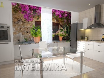 Фото Wellmira Цветы в горшках для кухни 250x150