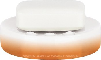 Фото Spirella настільна Tube-Gradient (10.17958)