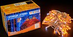 Фото Delux String 100 LED 2x5 м жовтий/прозорий IP44 (90015188)