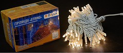Фото Delux String 100 LED 2x5 м білий/білий IP44 EN (90016596)