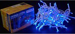 Фото Delux String 100 LED 2x5 м білий/синій IP44 EN (90016604)