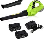 Фото Bigzzia Cordless Leaf Blower (2367301558)