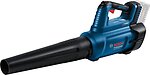 Фото Bosch GBL 18V-750 Professional (06008D2000)