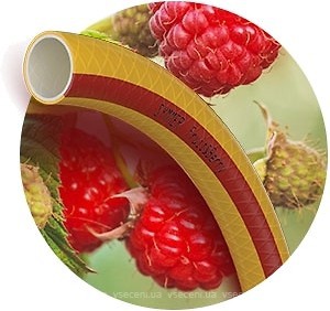 Фото Symmer Fruit+Berry 25 (1