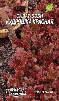 Фото Насіння України салат-бебі Кудряшка червона 1 г