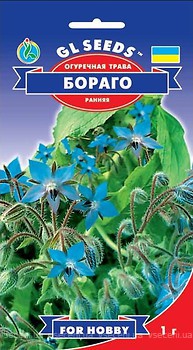 Фото GL SEEDS огуречная трава Бораго 1 г