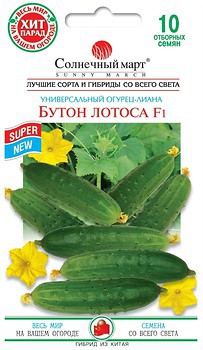 Фото Сонячний березень огірок Бутон лотоса F1 10 шт