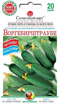 Фото Сонячний березень огірок Воргебірштраубе 20 шт