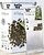 Фото Hello tea Чай зеленый пакетированный Ти Гуань Инь (картонная коробка) 20x2 г