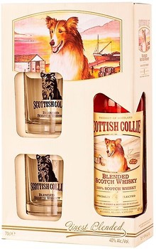 Фото Scottish Collie Blended Scotch Whisky 0.7 л в подарунковій коробці з 2 склянками