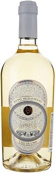 Фото Lupo Meraviglia Wonder One Of One Vermentino Puglia біле сухе 0.75 л
