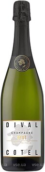 Фото Dival Cotel AOP Brut біле брют 0.75 л