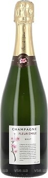 Фото Fleur Emile Brut біле брют 0.75 л