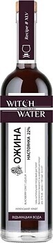 Фото Witch Water Ожина 22% 0.5 л