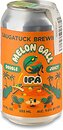 Фото Saugatuck Melon Ball Double Juicy IPA 9% 0.355 л