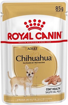 Фото Royal Canin Chihuahua Adult 12x85 г