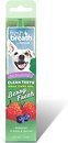 Фото TropiClean Гель Fresh Breath Clean Teeth Oral Care Gel Berry Fresh 59 мл