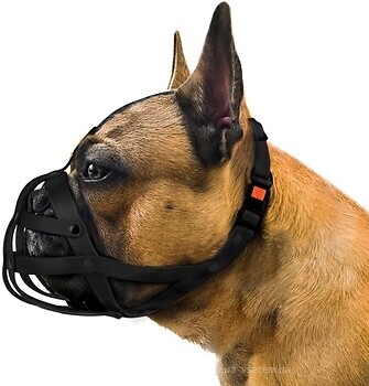 Фото BronzeDog 4905/T