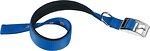 Фото Ferplast Классический Daytona C20/43 35-43 см / 20 мм blue (75246925)