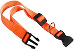 Фото Ferplast Класичний Club C10/25 18-25 см / 10 мм orange (75250839)