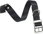 Фото Ferplast Классический Club CF20/43 35-43 см / 20 мм black (75261917)
